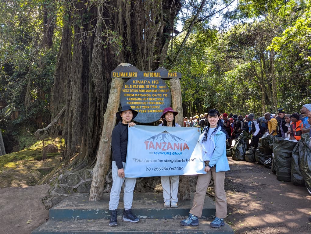 Kilimanjaro Luxury Climb + Wildlife Safari